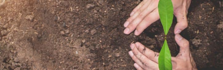 how-to-have-an-eco-friendly-valentines-day how to have an eco friendly valentines day